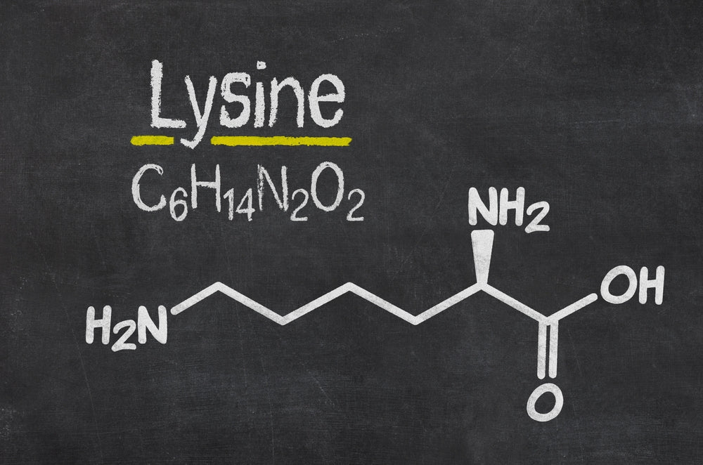 Lysine – An Amino Acid with Anxiolytic and Stress Relief Properties