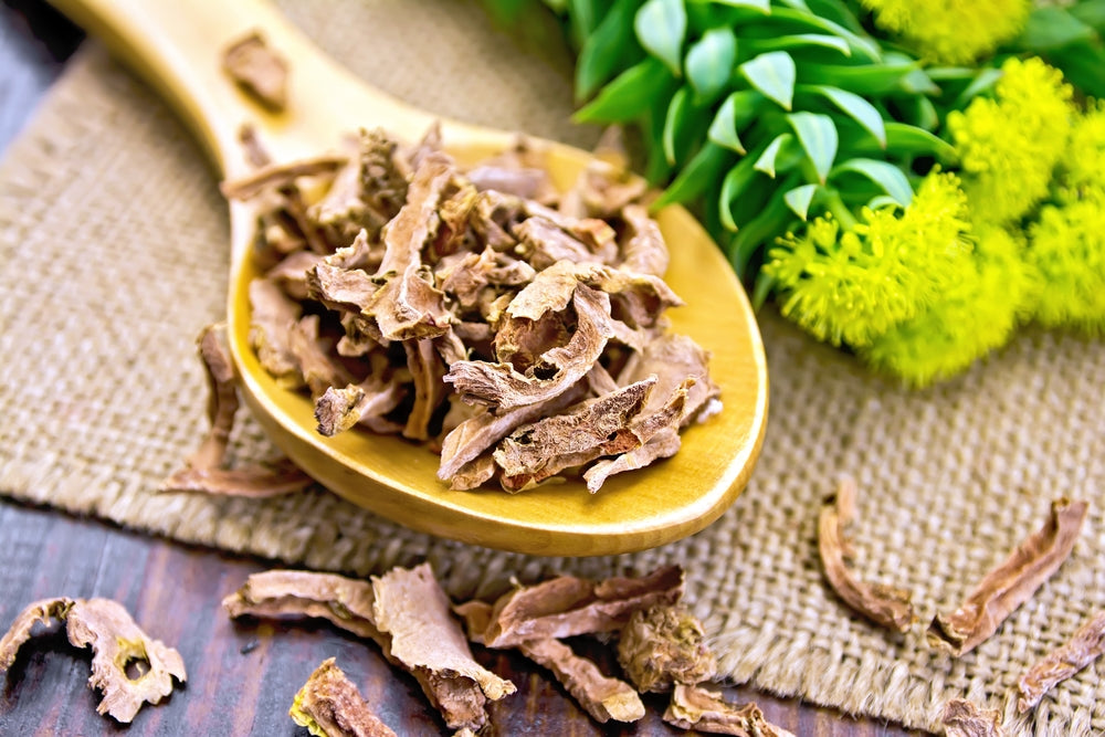 Rhodiola Root Extract – A Scientific Overview of Anxiety and Stress Relief Benefits
