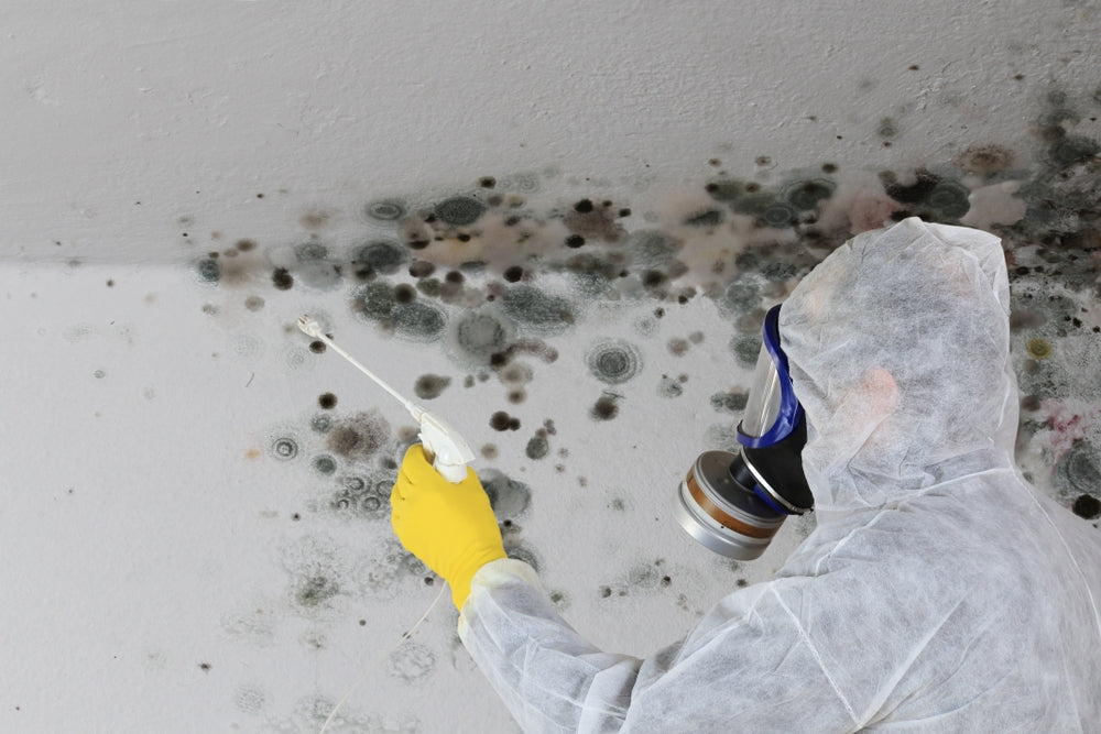 Can Mold Cause Anxiety?